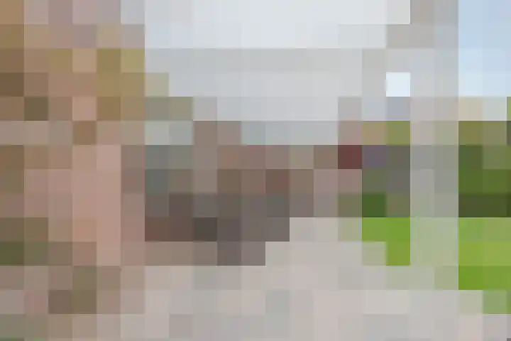Mahoniestraat 16 Venlo thumbnail 37