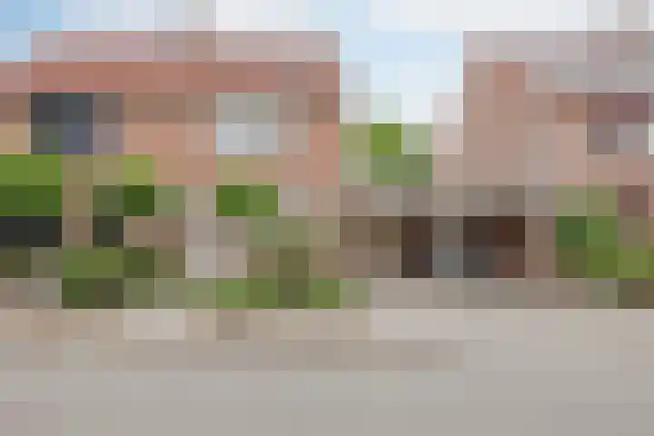 Mahoniestraat 16 Venlo thumbnail 7