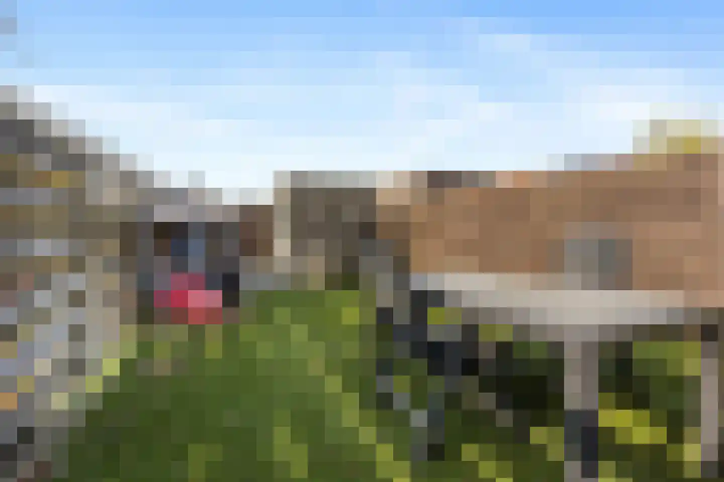 Mahoniestraat 31 Almere thumbnail 27