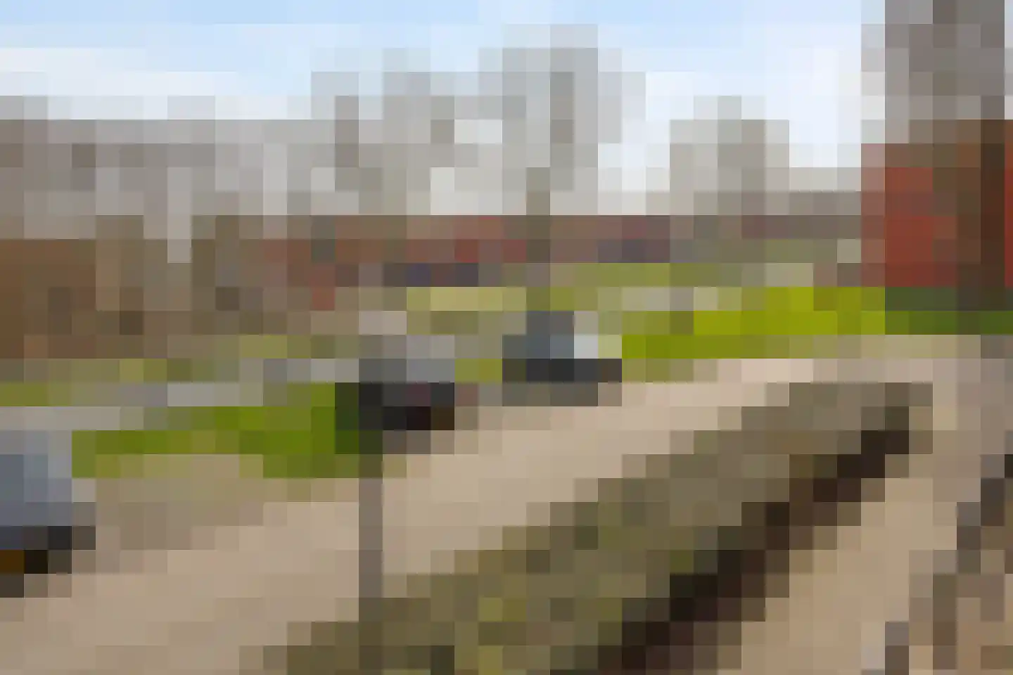 Mahoniestraat 31 Almere thumbnail 34