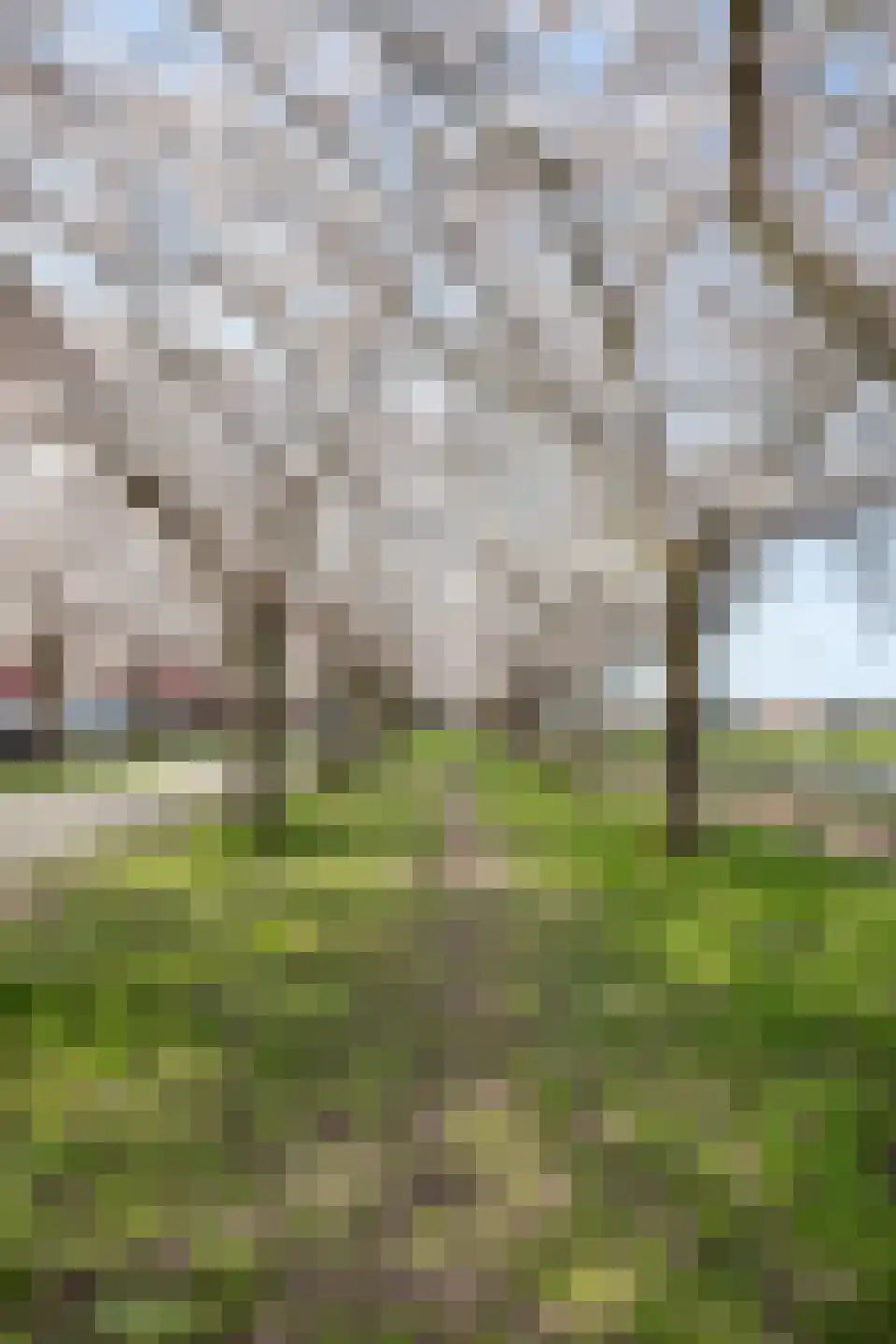 Mahoniestraat 31 Almere thumbnail 39