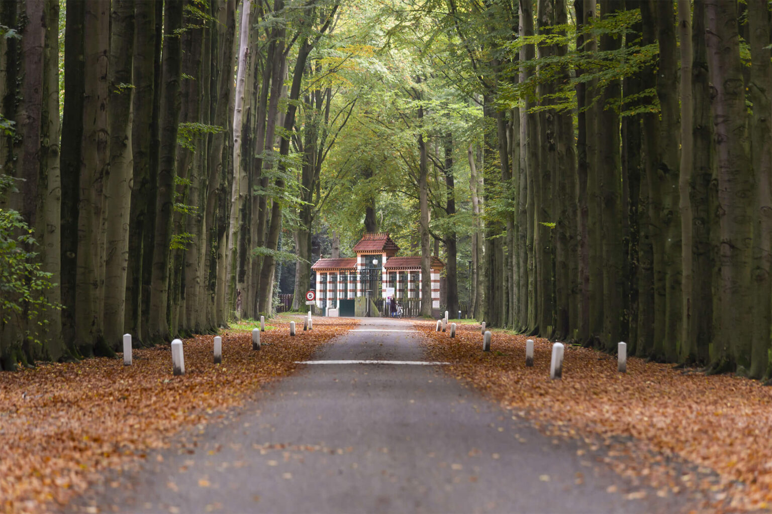 Office photo Maijer Makelaars