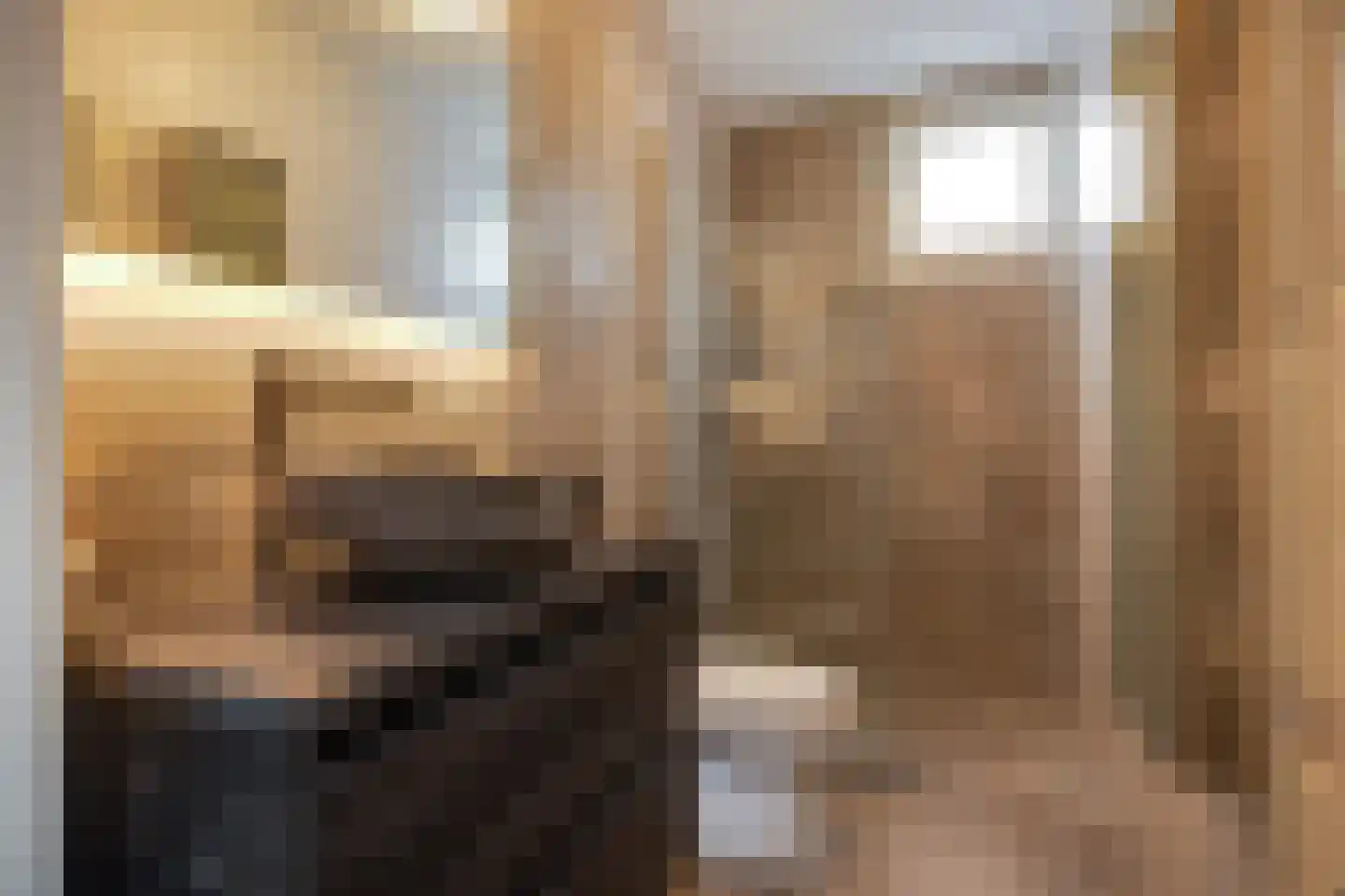 Maijweg 1 B 's-Hertogenbosch thumbnail 11