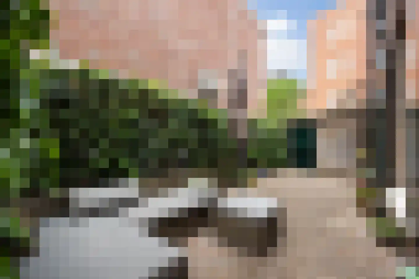 Maijweg 1 B 's-Hertogenbosch thumbnail 15