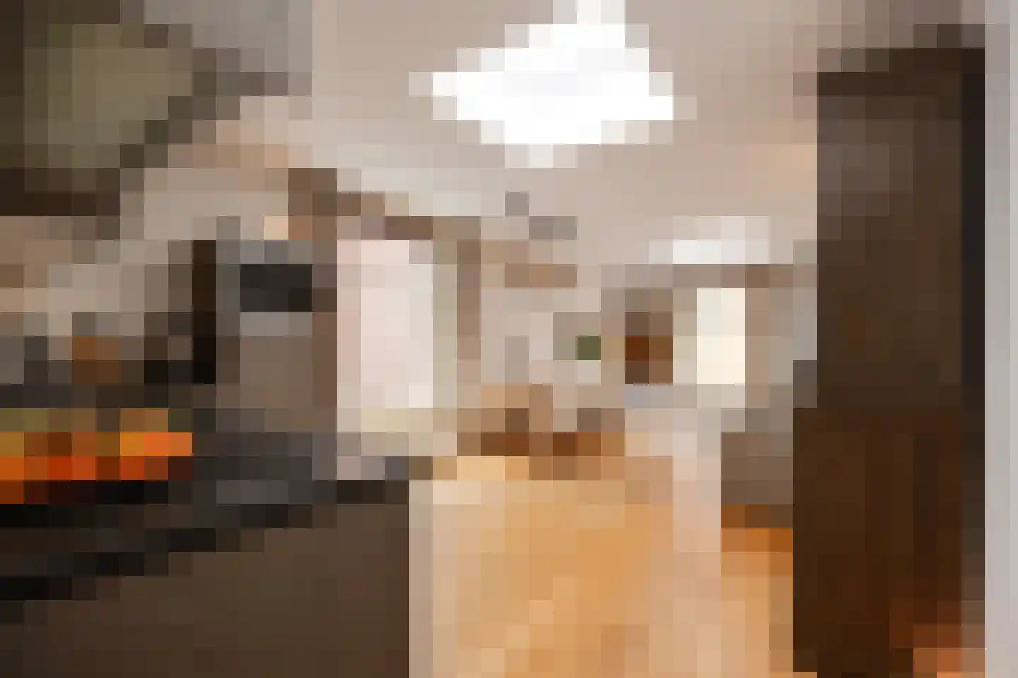 Maijweg 1 B 's-Hertogenbosch thumbnail 18