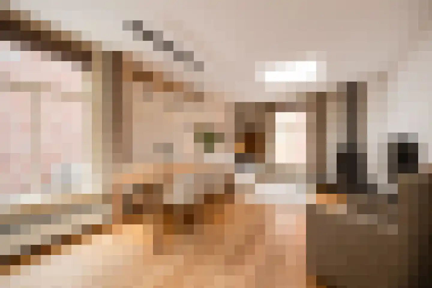 Maijweg 1 B 's-Hertogenbosch thumbnail 19