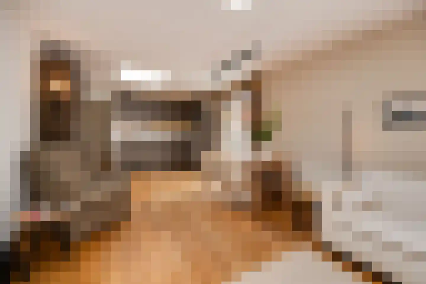 Maijweg 1 B 's-Hertogenbosch thumbnail 21