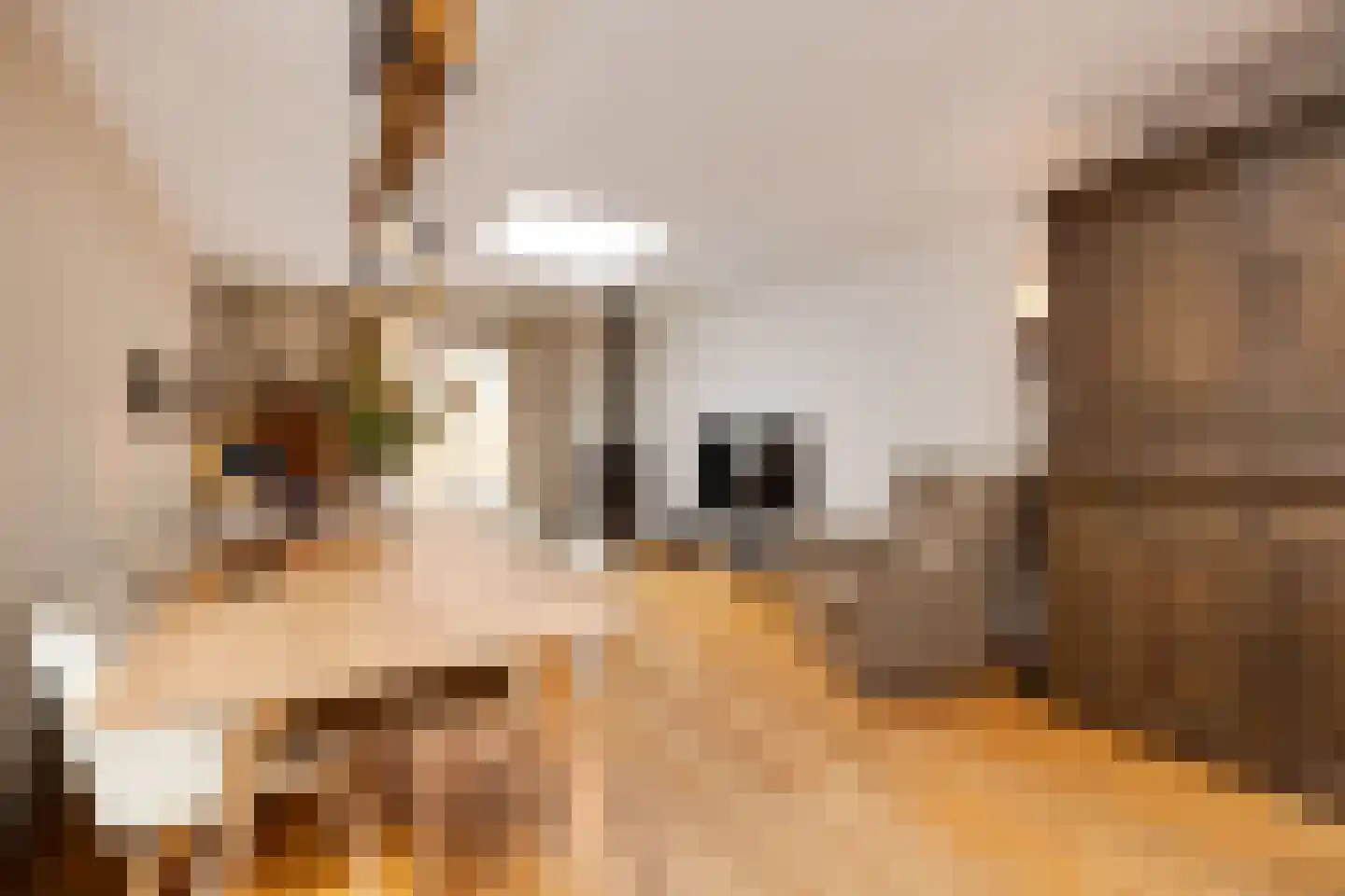 Maijweg 1 B 's-Hertogenbosch thumbnail 26