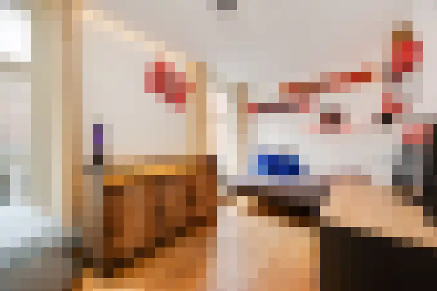 Maijweg 1 B 's-Hertogenbosch thumbnail 30