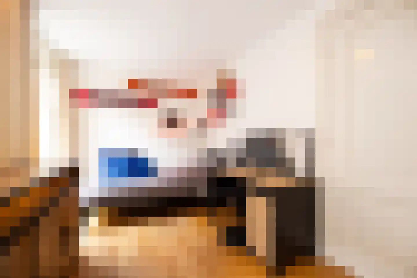 Maijweg 1 B 's-Hertogenbosch thumbnail 31