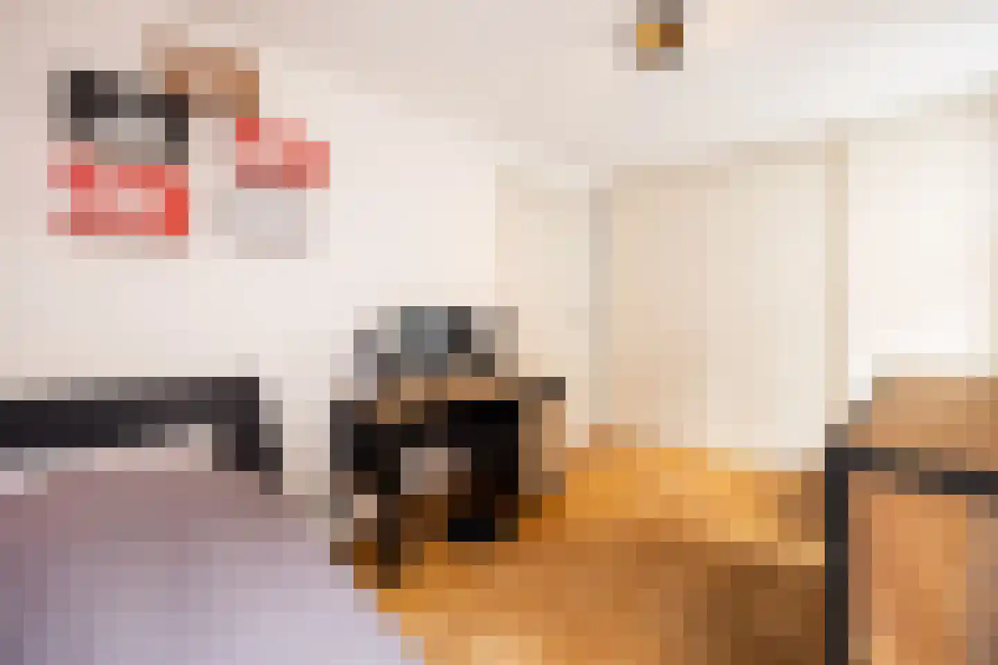 Maijweg 1 B 's-Hertogenbosch thumbnail 33