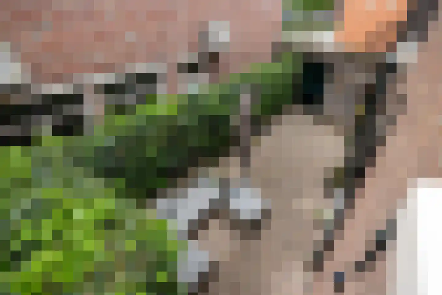 Maijweg 1 B 's-Hertogenbosch thumbnail 33