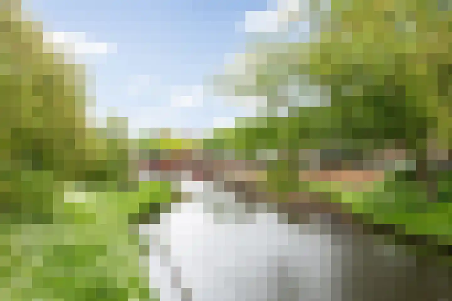 Maijweg 1 B 's-Hertogenbosch thumbnail 40
