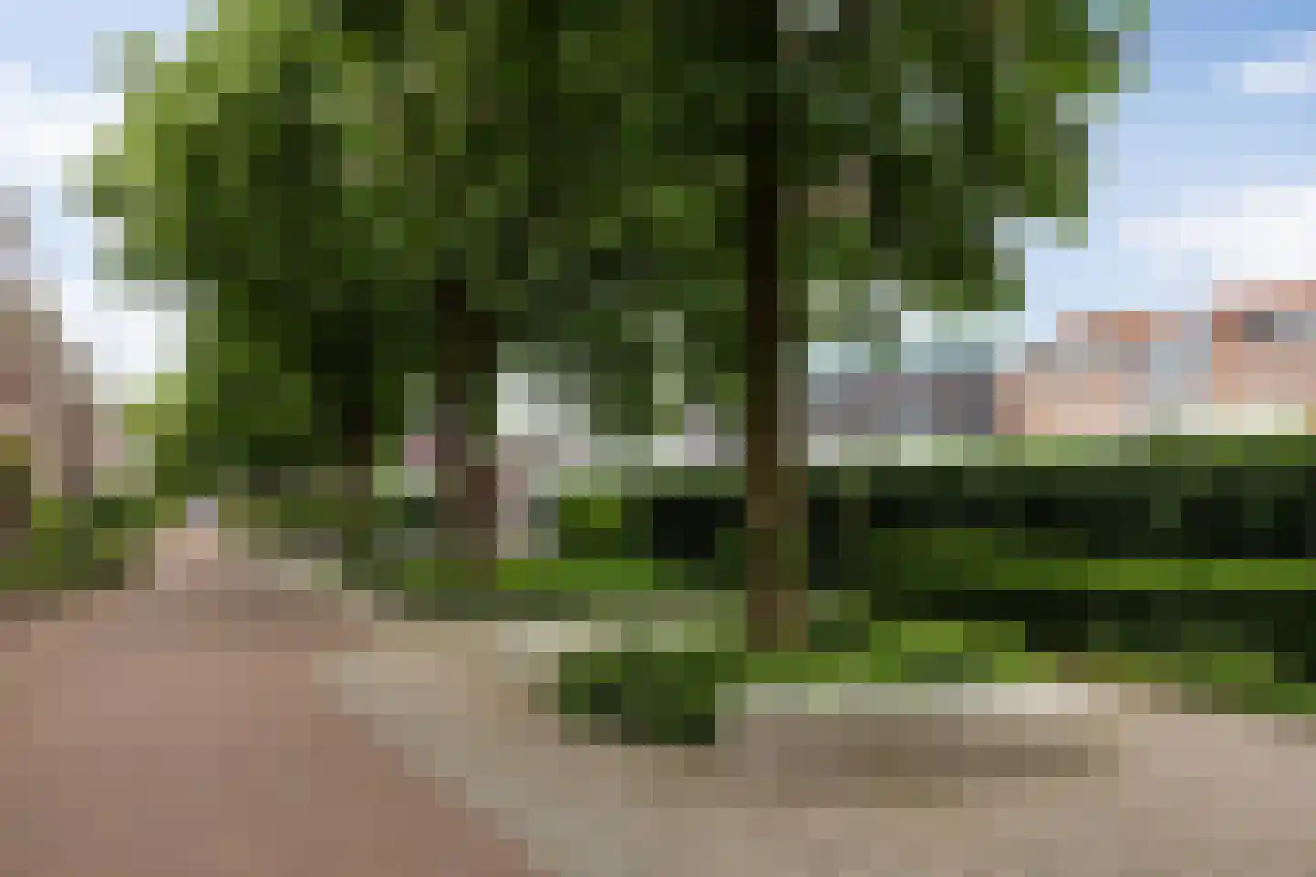 Maijweg 1 B 's-Hertogenbosch thumbnail 42