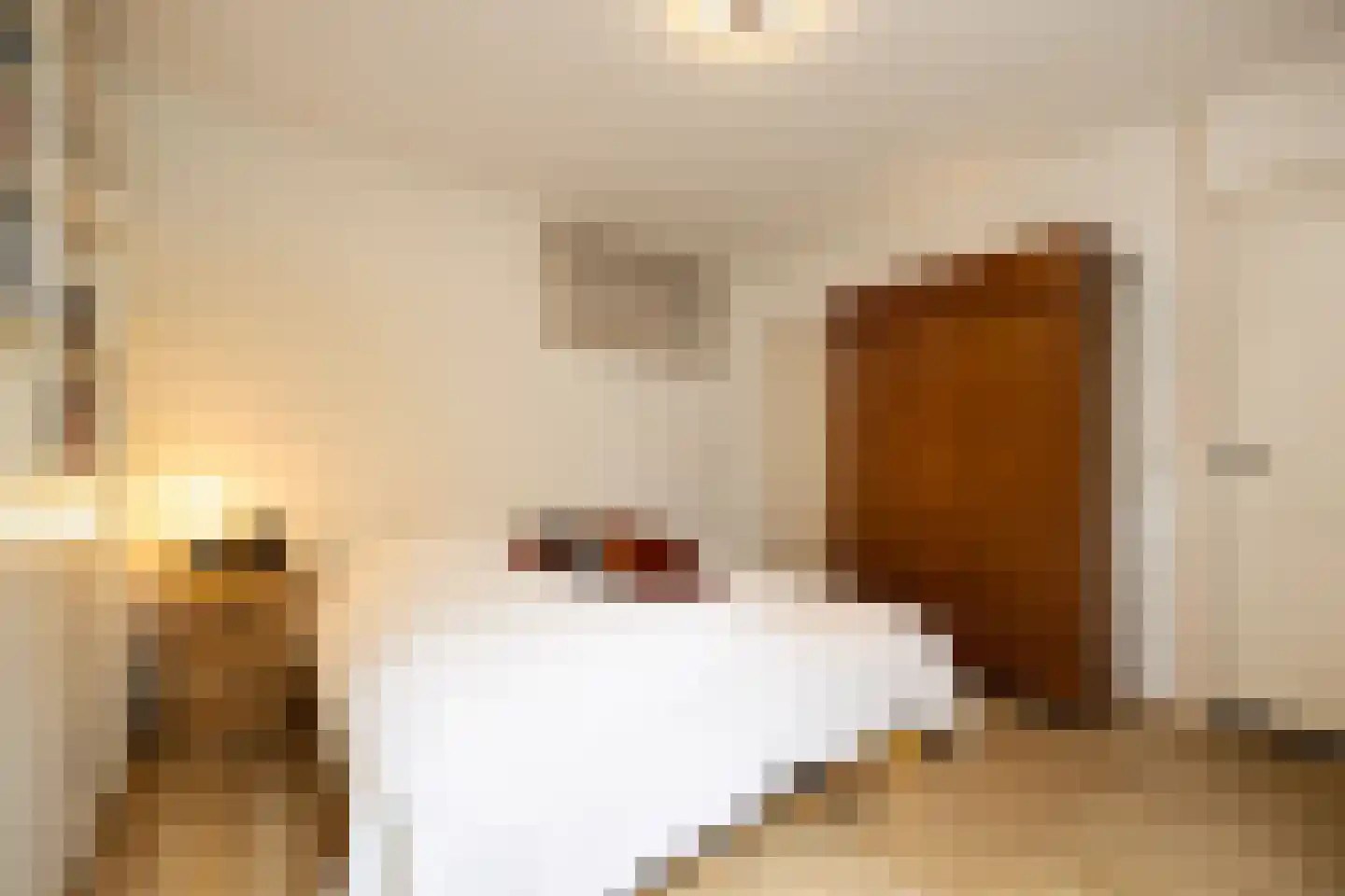 Maijweg 1 B 's-Hertogenbosch thumbnail 8