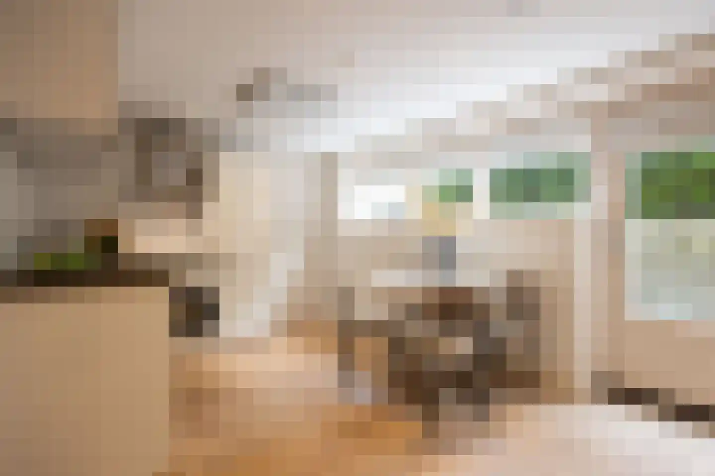 Maijweg 4 's-Hertogenbosch thumbnail 10