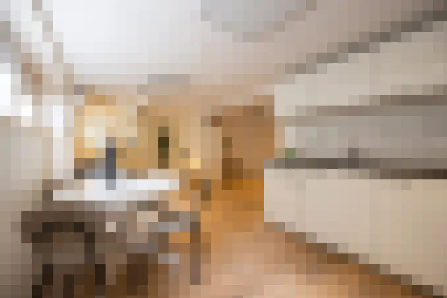 Maijweg 4 's-Hertogenbosch thumbnail 11