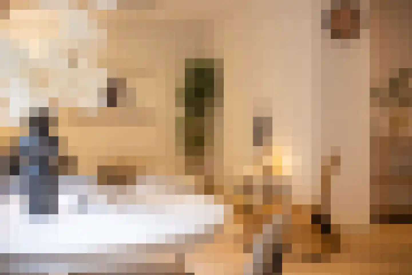 Maijweg 4 's-Hertogenbosch thumbnail 22