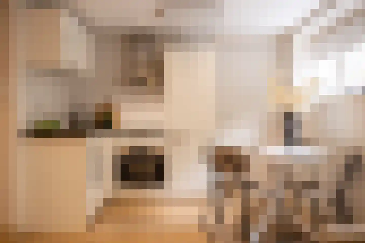 Maijweg 4 's-Hertogenbosch thumbnail 23