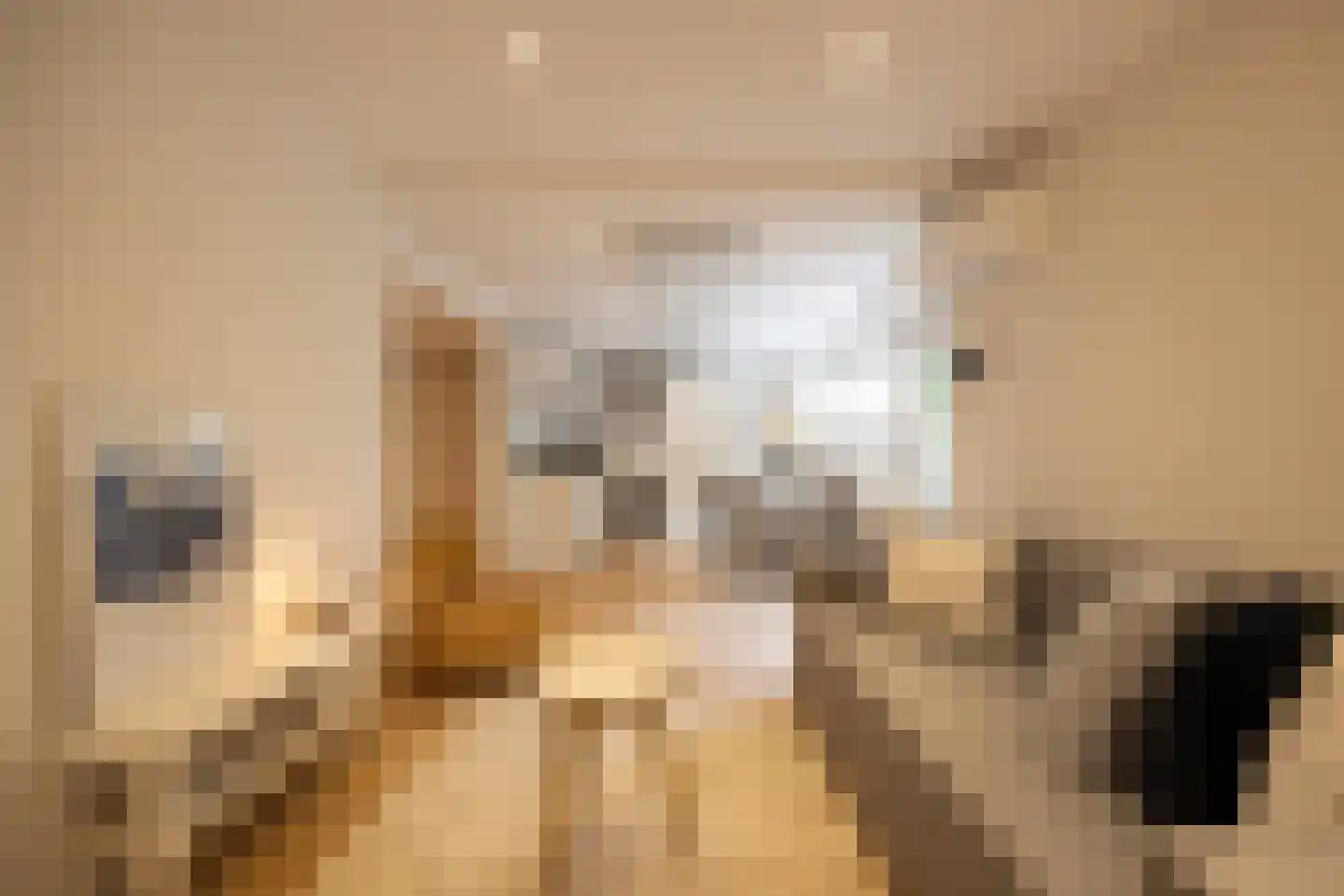 Maijweg 4 's-Hertogenbosch thumbnail 4