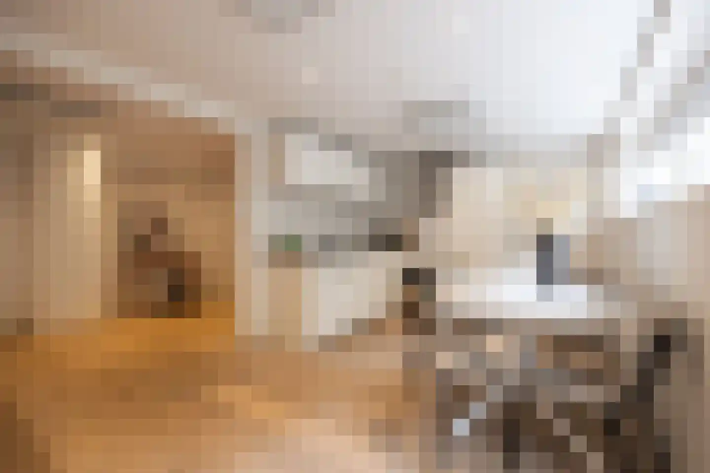 Maijweg 4 's-Hertogenbosch thumbnail 8