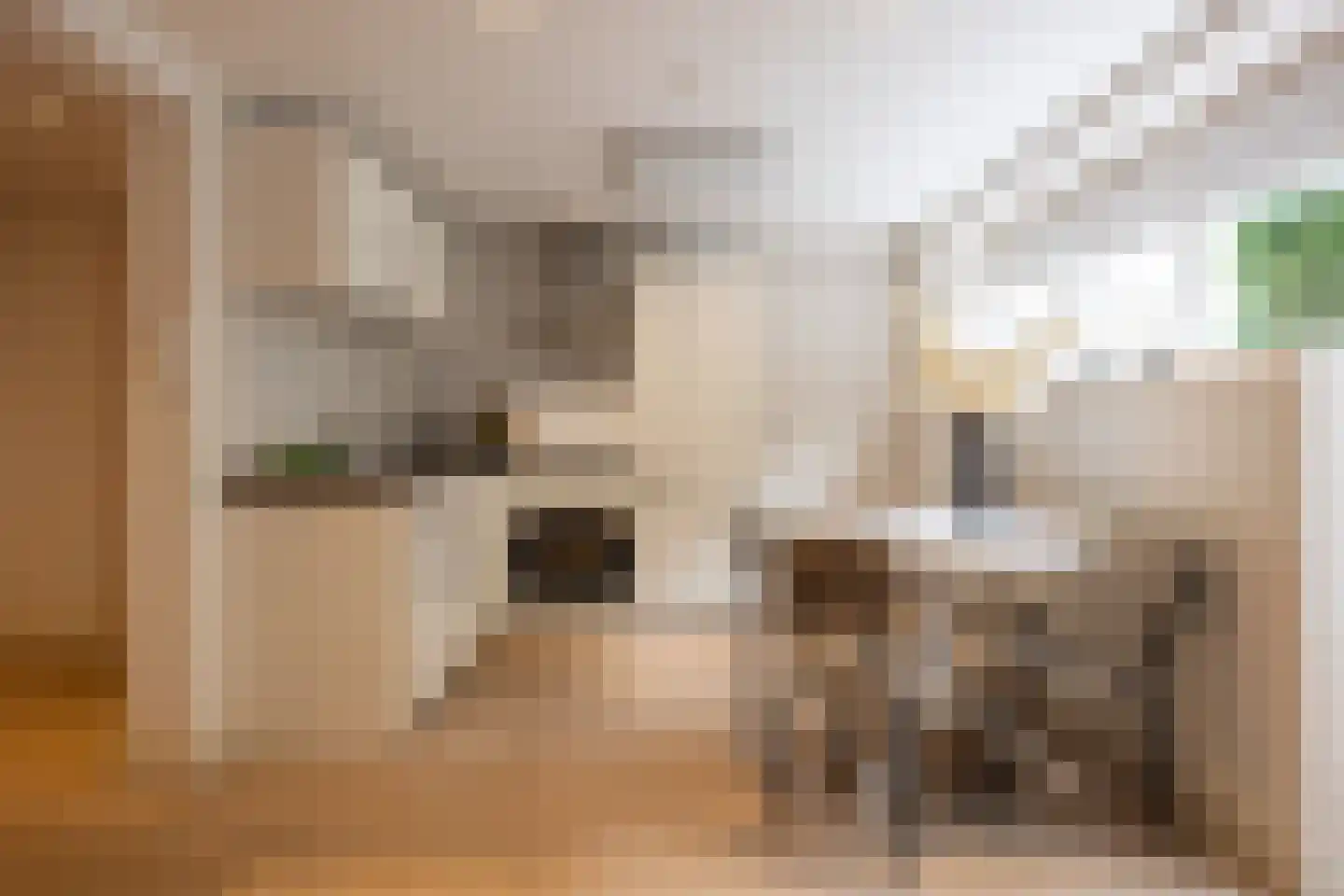 Maijweg 4 's-Hertogenbosch thumbnail 9