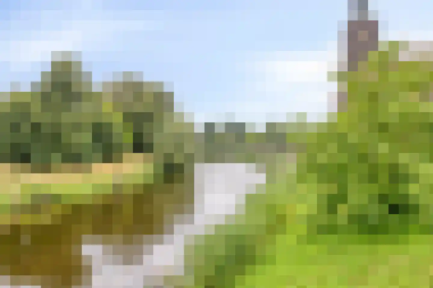 Maijweg 78 's-Hertogenbosch thumbnail 36