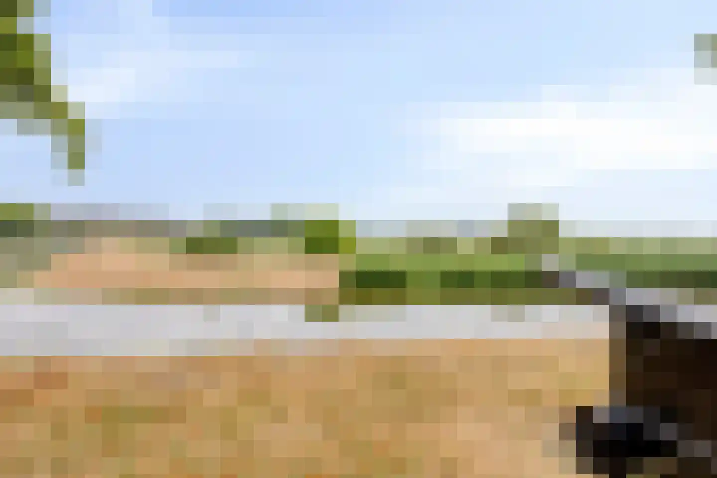Maijweg 78 's-Hertogenbosch thumbnail 39