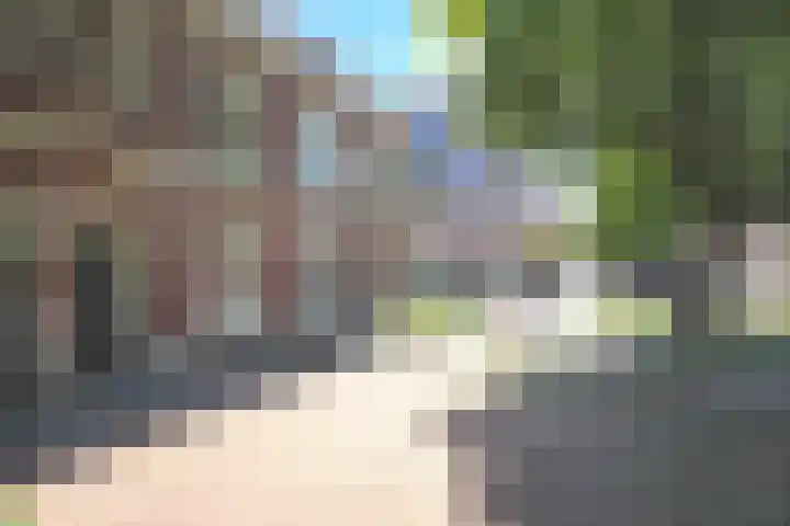 Maijweg 80 's-Hertogenbosch thumbnail 18