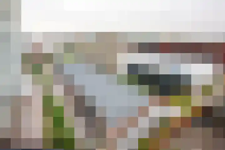 Maijweg 80 's-Hertogenbosch thumbnail 20