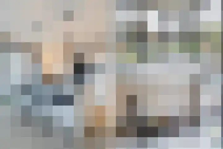 Maimonideslaan 102 Amstelveen thumbnail 8