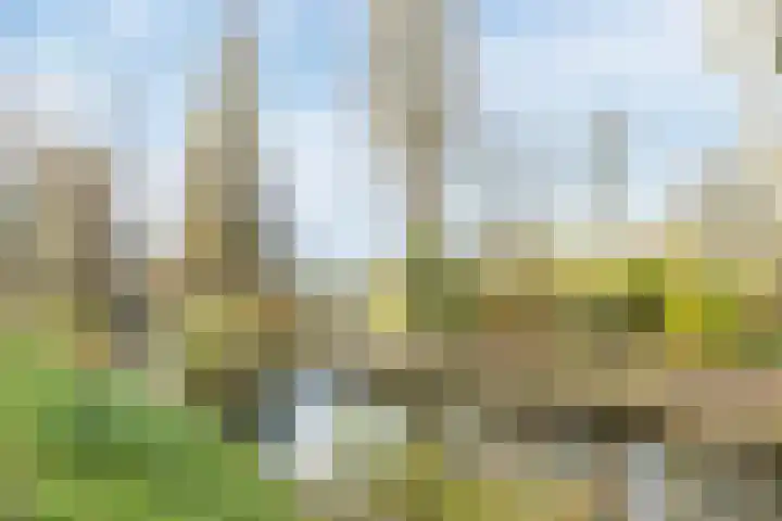 Maimonideslaan 117 Amstelveen thumbnail 39