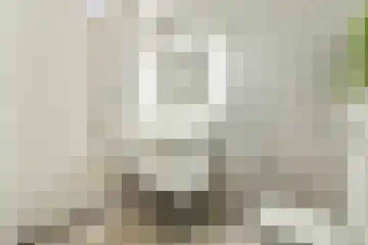 Maimonideslaan 118 Amstelveen thumbnail 22