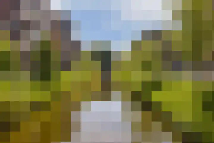 Maimonideslaan 118 Amstelveen thumbnail 27