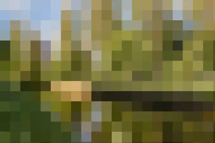Maimonideslaan 118 Amstelveen thumbnail 28