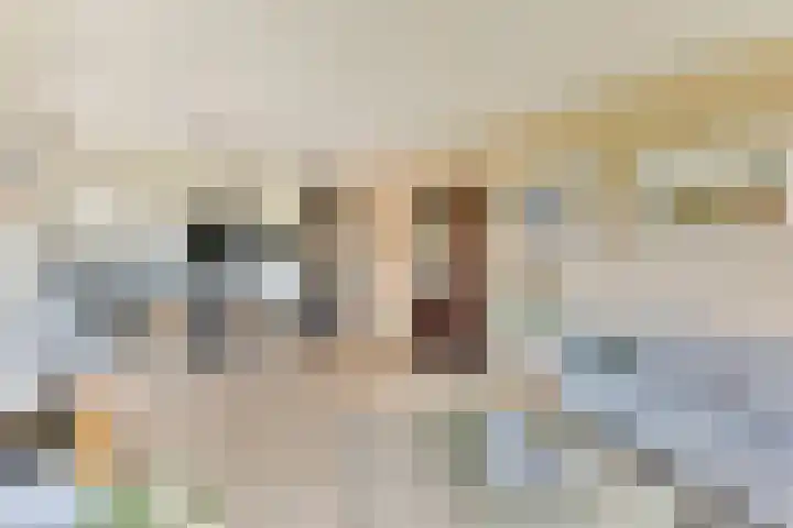 Maimonideslaan 118 Amstelveen thumbnail 6