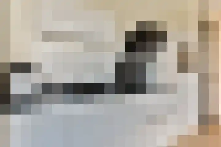 Maimonideslaan 118 Amstelveen thumbnail 8