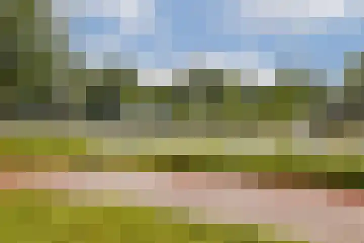 Maimonideslaan 87 Amstelveen thumbnail 20