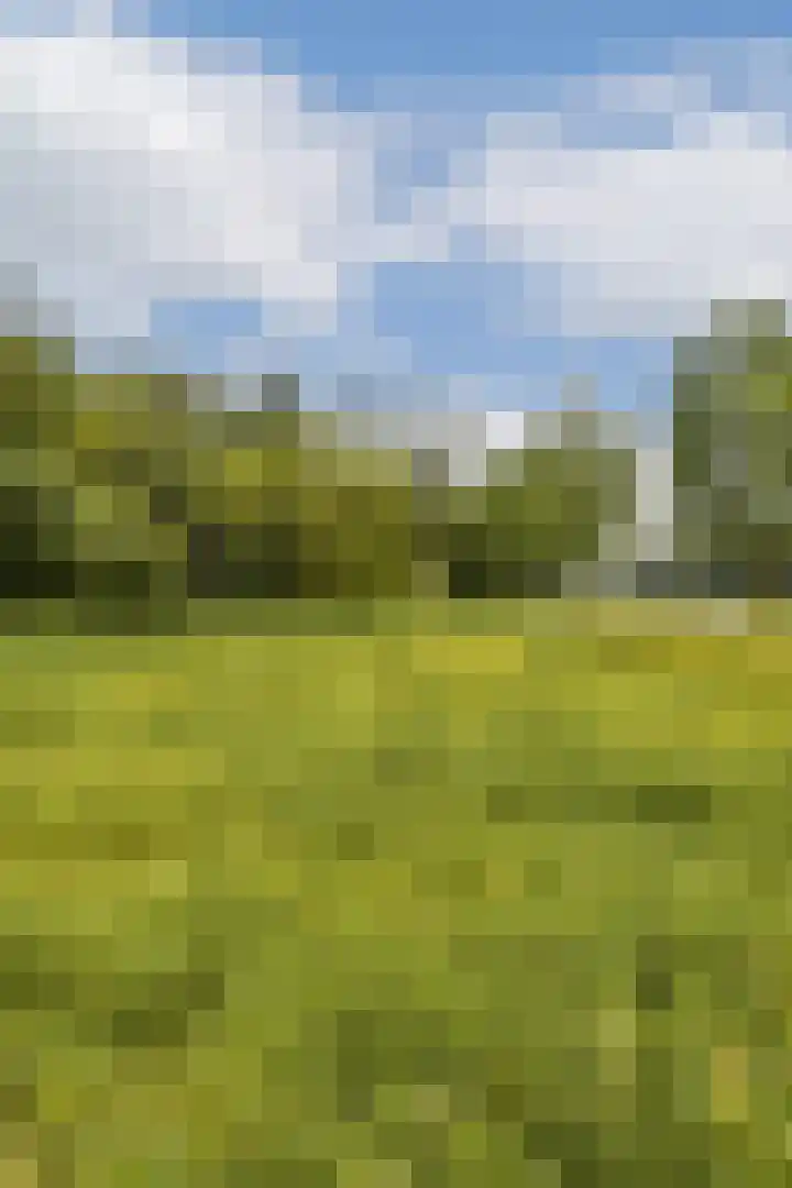 Maimonideslaan 87 Amstelveen thumbnail 21