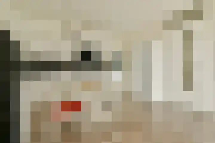 Maimonideslaan 87 Amstelveen thumbnail 8