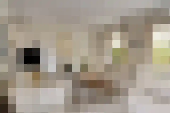 Mainelaan 104 Eindhoven thumbnail 10