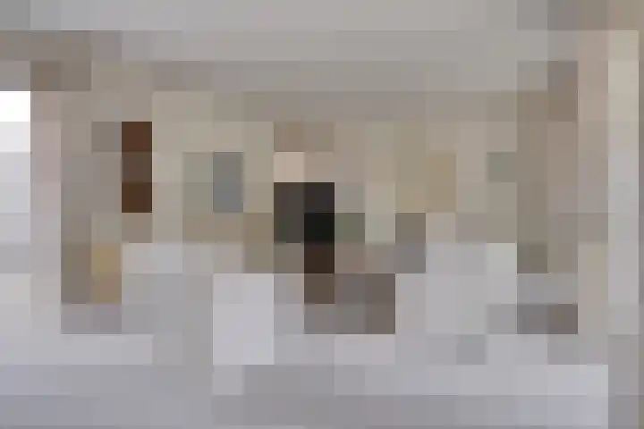 Mainelaan 104 Eindhoven thumbnail 11