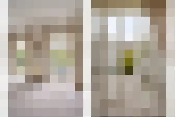 Mainelaan 104 Eindhoven thumbnail 13