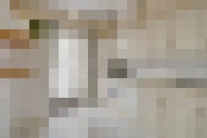 Mainelaan 104 Eindhoven thumbnail 14