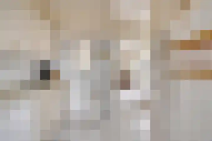 Mainelaan 104 Eindhoven thumbnail 16