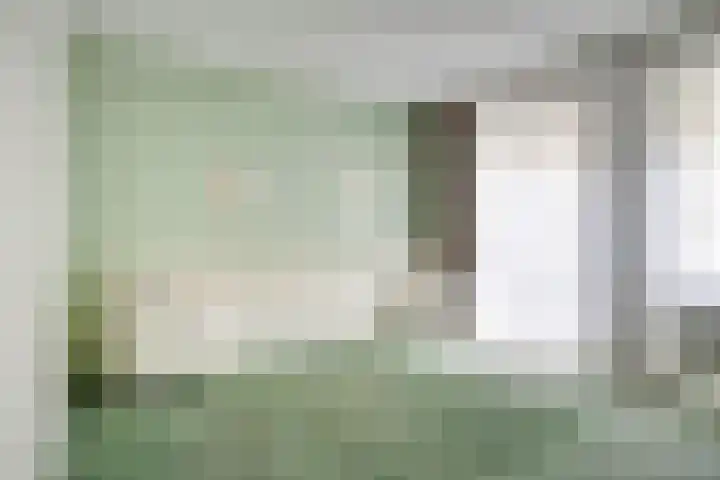 Mainelaan 104 Eindhoven thumbnail 17