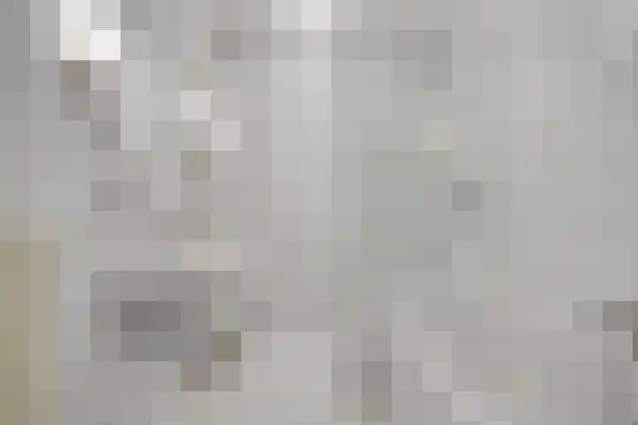 Mainelaan 104 Eindhoven thumbnail 19