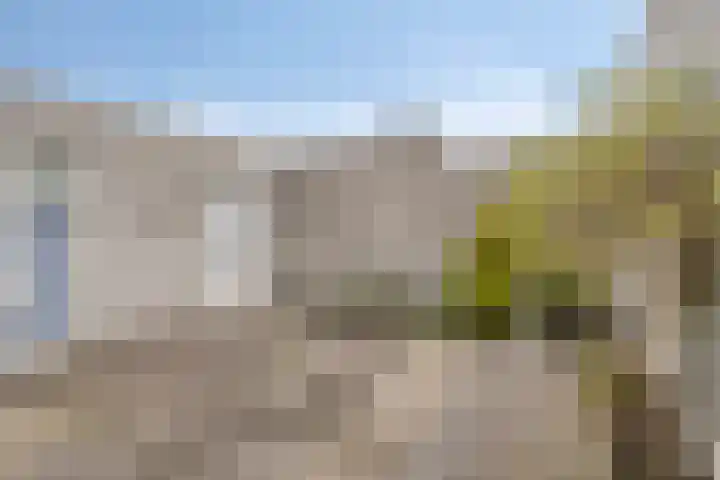 Mainelaan 104 Eindhoven thumbnail 24