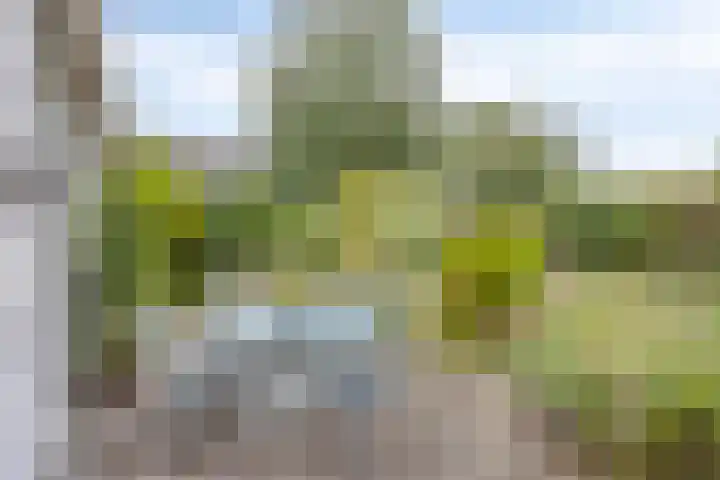 Mainelaan 104 Eindhoven thumbnail 26