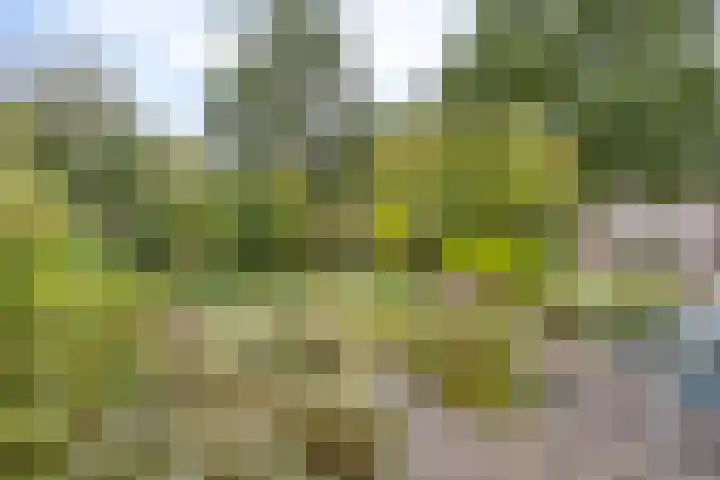 Mainelaan 104 Eindhoven thumbnail 27